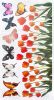 Tulip & Butterfly - Wall Decals Stickers Appliques Home Decor