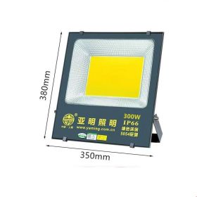 Yameen Led Projection Light COB Floodlight (Option: COB300w)